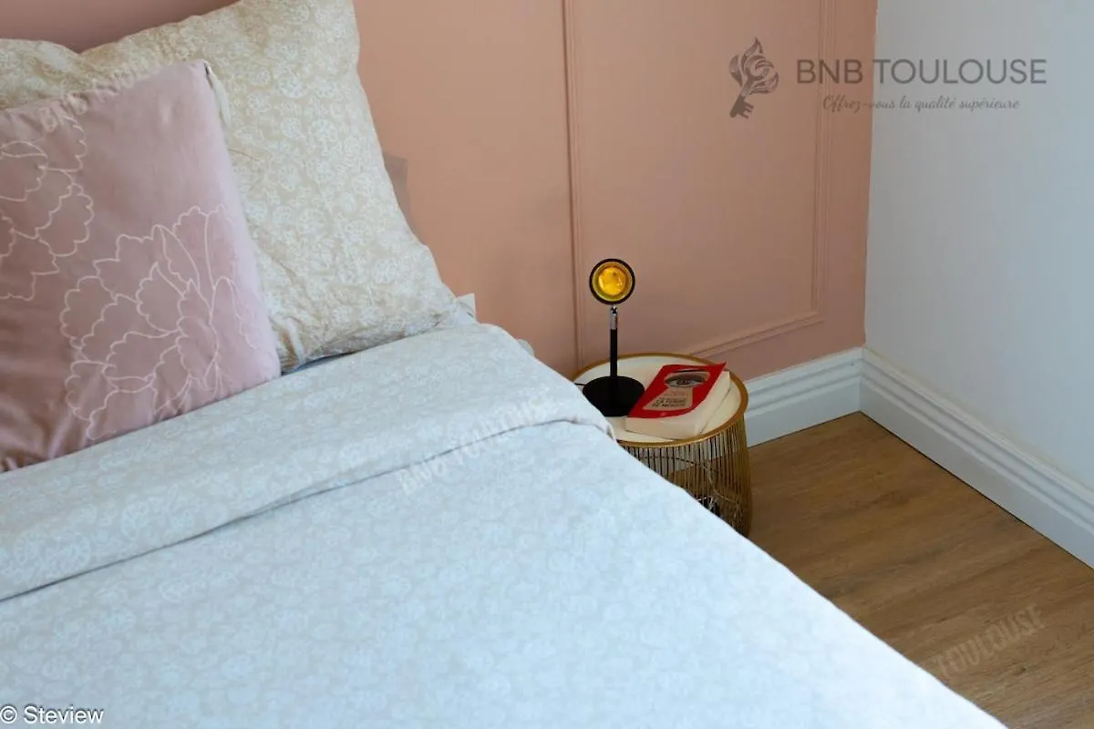 Appartement Bnb Toulouse - Le Chic Castel'Nid - Clim - Parking - Terrasse - Wifi Castelnau-dʼEstrétefonds