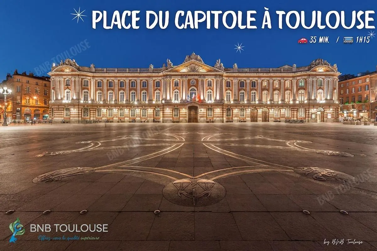 Bnb Toulouse - Le Chic Castel'Nid - Clim - Parking - Terrasse - Wifi Castelnau-dʼEstrétefonds