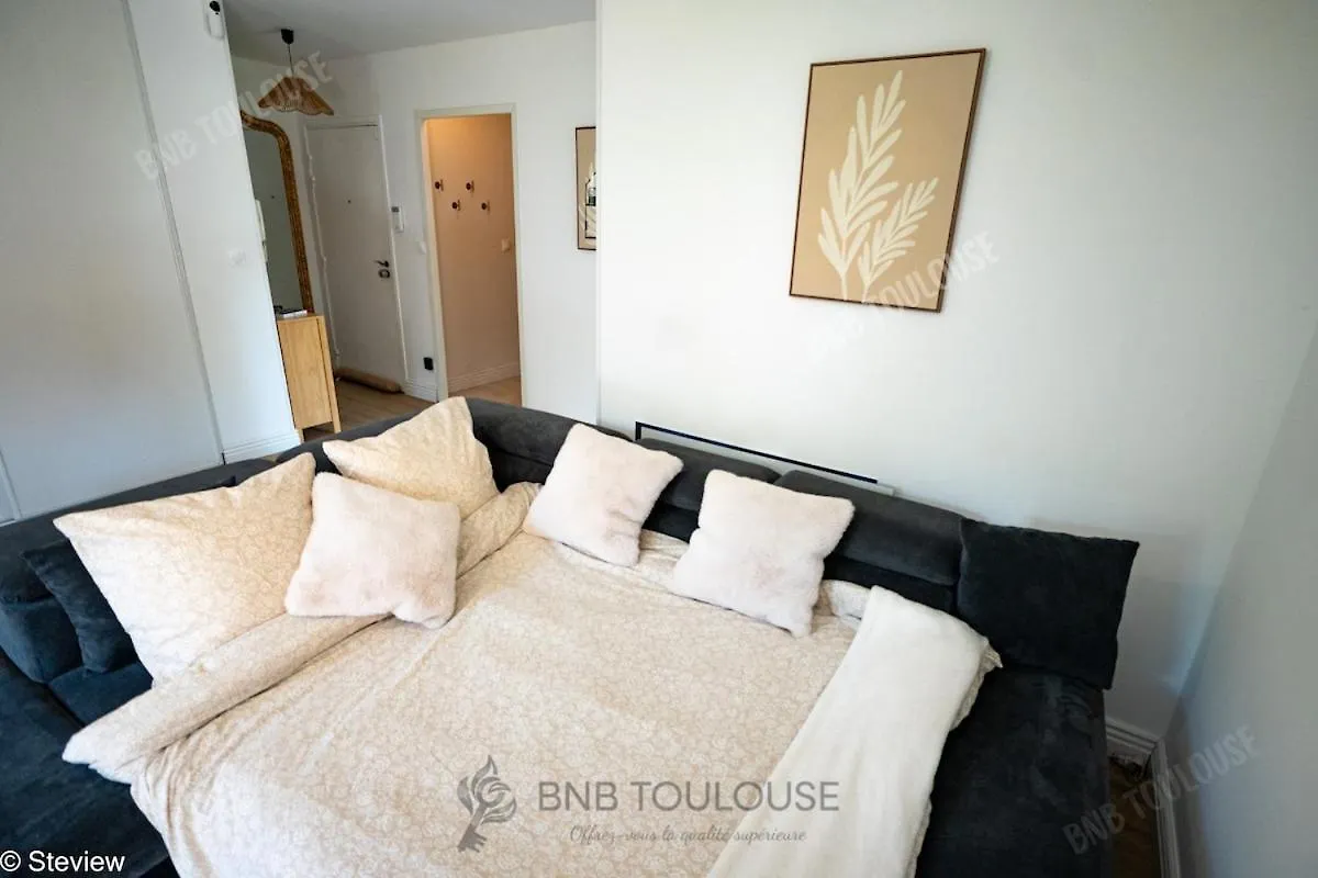 Bnb Toulouse - Le Chic Castel'Nid - Clim - Parking - Terrasse - Wifi Castelnau-dʼEstrétefonds